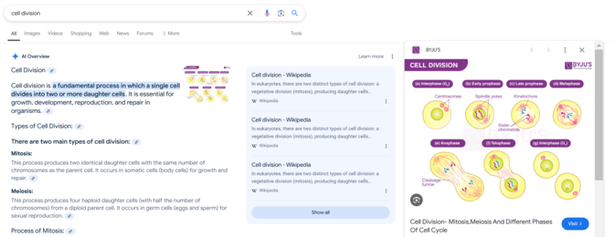 AI Overview with image